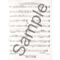 Instrumental Play-Along: Popular Hits - Clarinet