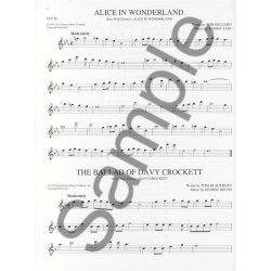 The Big Book Of Disney Songs - Flute