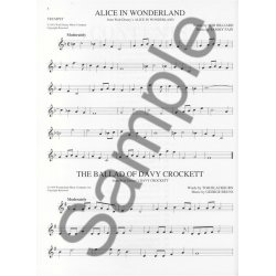 The Big Book Of Disney Songs - Trumpet