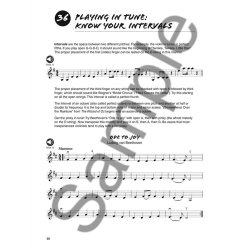 101 Violin Tips: Stuff All The Pros Know And Use