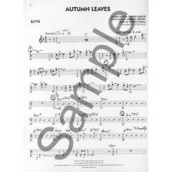 Big Band Play-Along Volume 7: Standards - Guitar