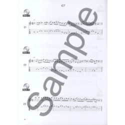 Toby Wine: 150 Hot Jazz Licks In Tab