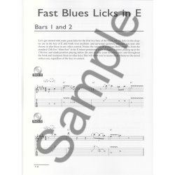 Buzz Feiten: Blues By The Bar - Master Class