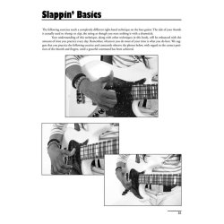 PLAYING THE BASS GUITAR REVISED EDITION BEGINNERS GUIDE BGTR BK/CD