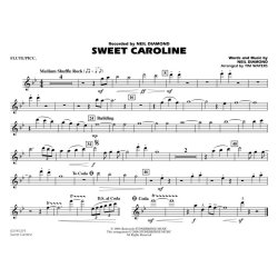 Sweet Caroline - Marching Band
