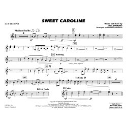 Sweet Caroline