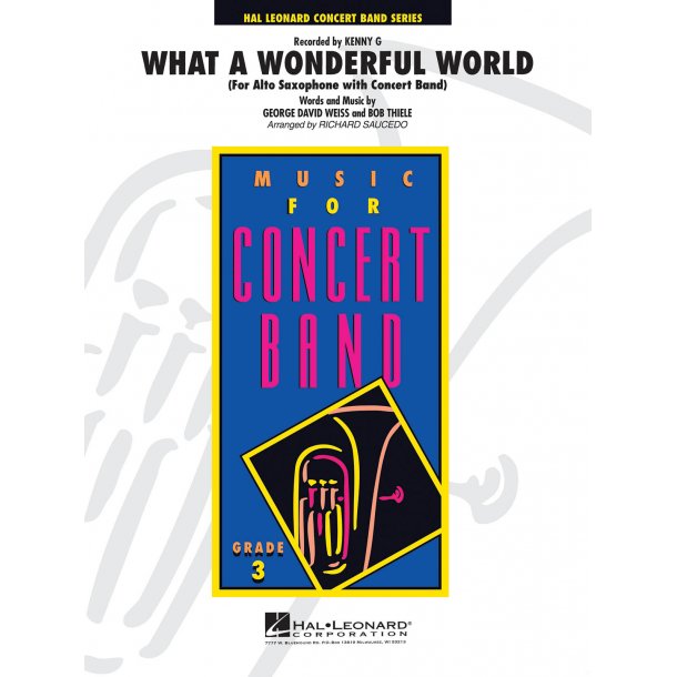 What a wonderful world : (Alto Saxophone Solo with Band)
