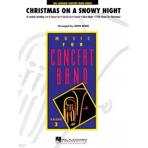 Christmas on a Snowy Night