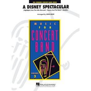 A Disney Spectacular