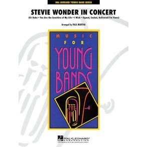 Stevie Wonder in Concert