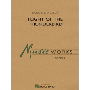 Flight of the Thunderbird