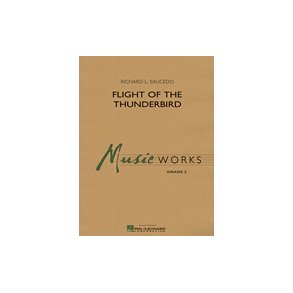 Flight of the Thunderbird