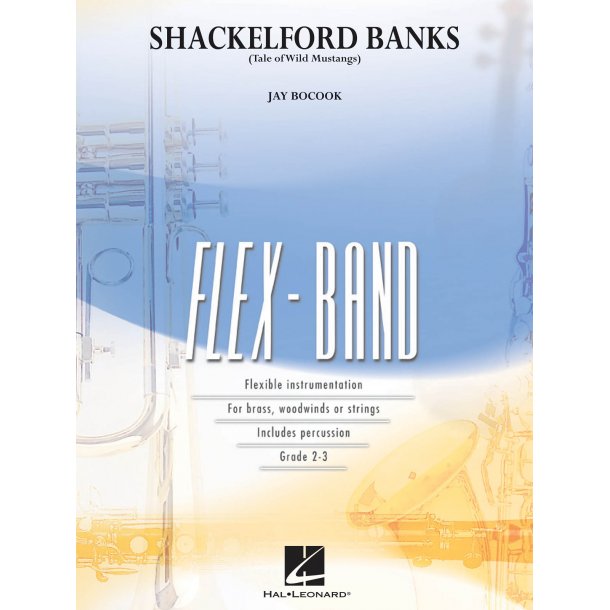 Shackelford Banks (Tale of Wild Mustangs)