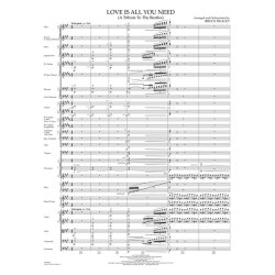 Love Is All You Need : (A Tribute to The Beatles )