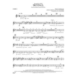 Skyfall (Vocal Solo with Orchestra)