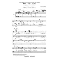 Far From Here : Song Cycle for Chorus and Orchestra