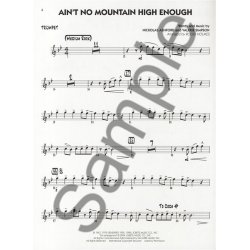 Big Band Play-Along Volume 2: Popular Hits - Trumpet