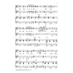KRIEGER HENRY/EYEN TOM DREAMGIRLS CHORAL MEDLEY (BRYMER MARK) SSA CHOR