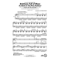 Briefcase Full of Blues : (A Tribute to the Blues Brothers)