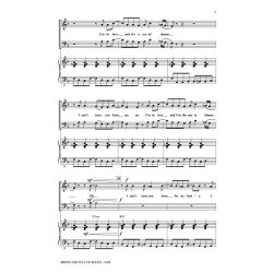 Briefcase Full of Blues : (A Tribute to the Blues Brothers)