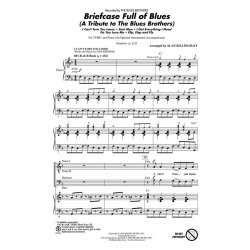 Briefcase Full of Blues : (A Tribute to the Blues Brothers)