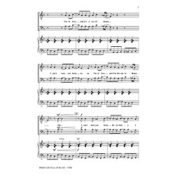 Briefcase Full of Blues : (A Tribute to the Blues Brothers)