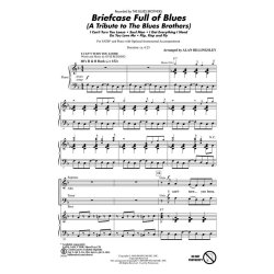 Briefcase Full of Blues : A Tribute to the Blues Brothers