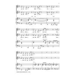 BUBLE THEME SPIDER MAN (SHAW) 2PT