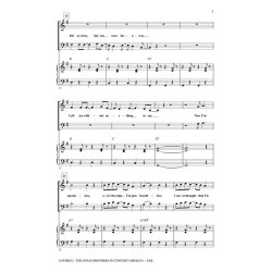 Lovebug - The Jonas Brothers in Concert