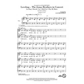 Lovebug - The Jonas Brothers In Concert : (Medley)