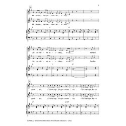 Lovebug - The Jonas Brothers In Concert : (Medley)