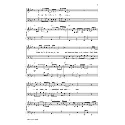 OWL CITY/YOUNG ADAM FIREFLIES (BRYMER MARK) SAB CHORAL