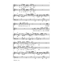 ADAM YOUNG OWL CITY FIREFLIES (ARR MARK BRYMER) 2-PART CHORAL SHEET