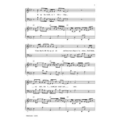 Owl City: Fireflies (Arr.Brymer) (ShowTrax CD)