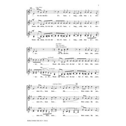 HARRISON GEORGE HERE COMES THE SUN (SHAW KIRBY) SSAA A CAPPELLA CHORAL