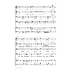 Mraz I'm Yours (Peterson) Ttbb Chor