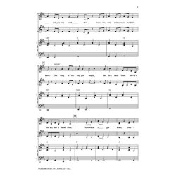 Taylor Swift in Concert : Medley