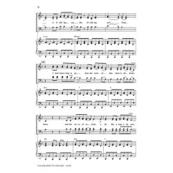 Taylor Swift in Concert : Medley