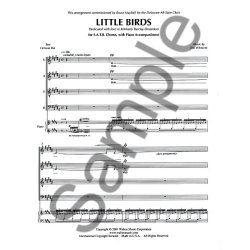 Eric Whitacre: Little Birds