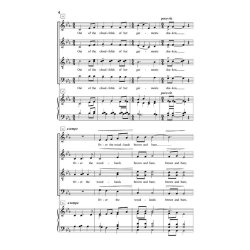 Johnson Lane Snowflakes Satb Dv A Cappella Choral