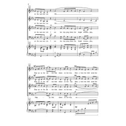 A STEPHEN FOSTER MEDLEY (WASHBURN) SATB CHORAL SHEET
