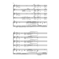 Davison Dan Laudate Dominum Psalm 117 Ssa(T)b Choral