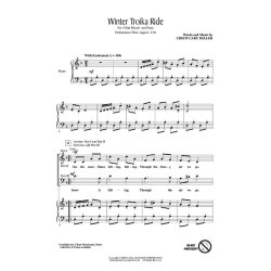 Winter Troika Ride