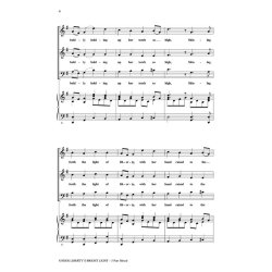 Under Liberty's Bright Light