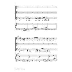 Pura Vida : (Enjoy Life!)