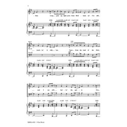 Birdland VOICETRAX CD