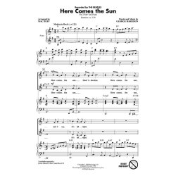 BEATLES HERE COMES THE SUN HUFF 2PT