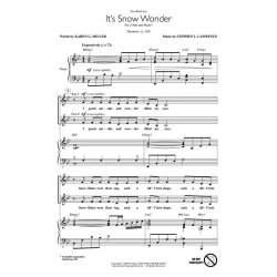 LAWRENCE ITS SNOW WONDR VOICETRAX CD