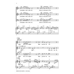 Miracle of Lights : Discovery Level 1