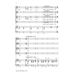 Wade in the Water : Discovery Level 2